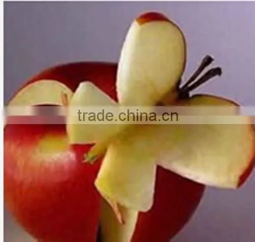 Apple Polyphenols Factory UV 50%-80% Polyphenols