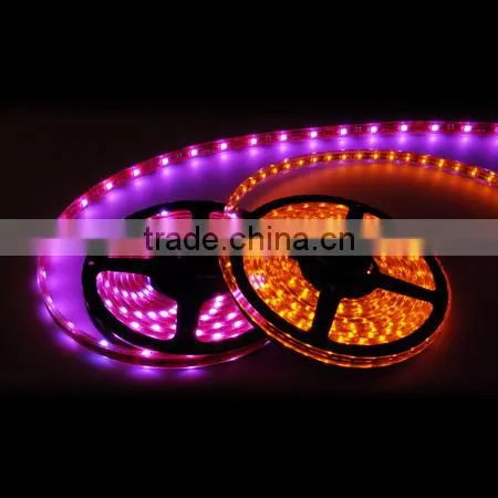 cheap & high quality led flexible strip light