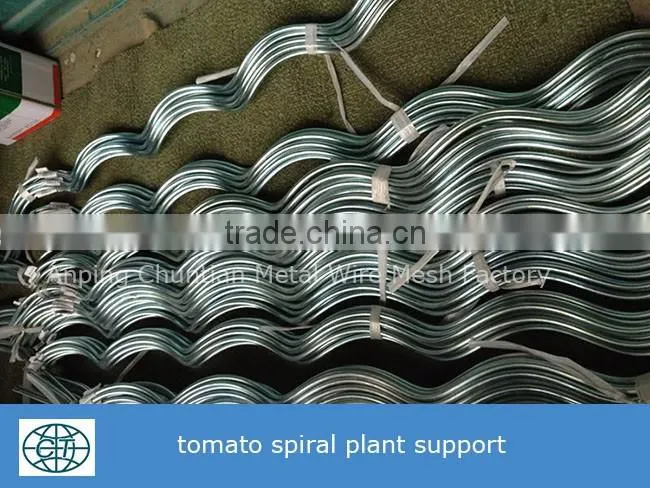 Glavanized Steel Bar Tomato Spiral Support rod for plant climbing