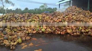 Minh Khang Import Export Company Limited company overview - view 2
