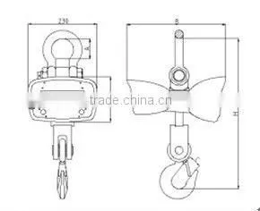 Digital Crane Scale