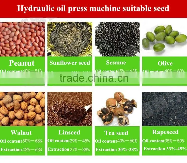 Hot sale DL-ZYJ01Y small olive oil press for sale