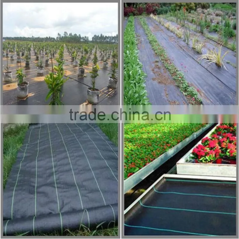 PP/PE ground cover mat for weed control
