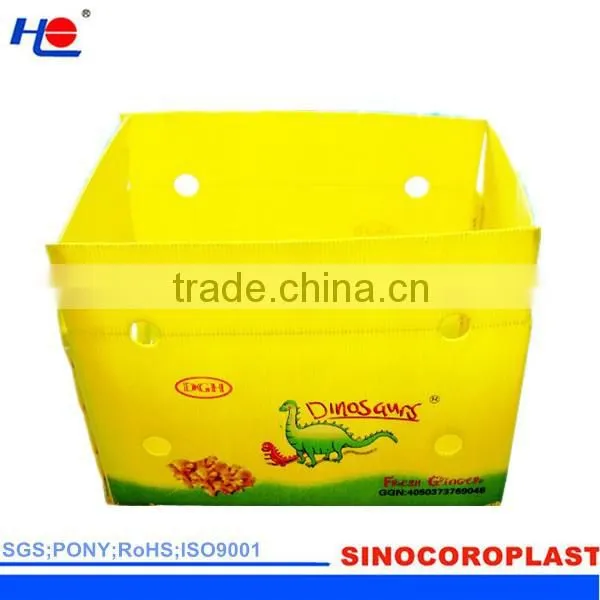 Custom Corrugated Plastic Shipping Box