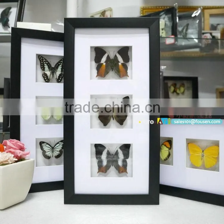 FOUSEN(023) Nature& Art framed natual real dried butterfly art set