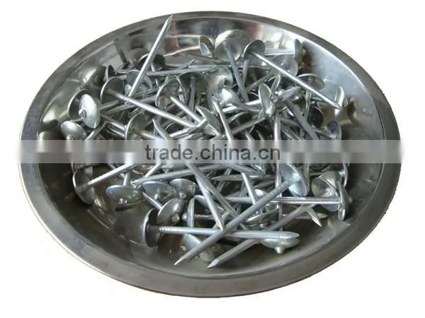 low carbon steel nails roofing nails and galvanized nails