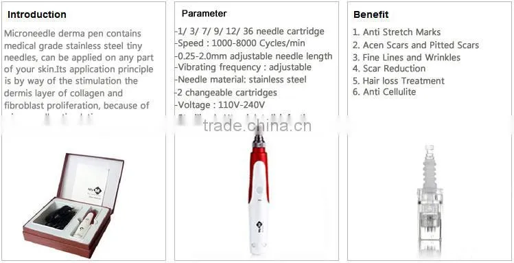 Promotion-Korea Style Electric Derma Pen 12 needles pen