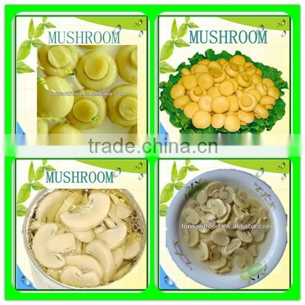 580ml cook canned mixed mushrooms in glass jars