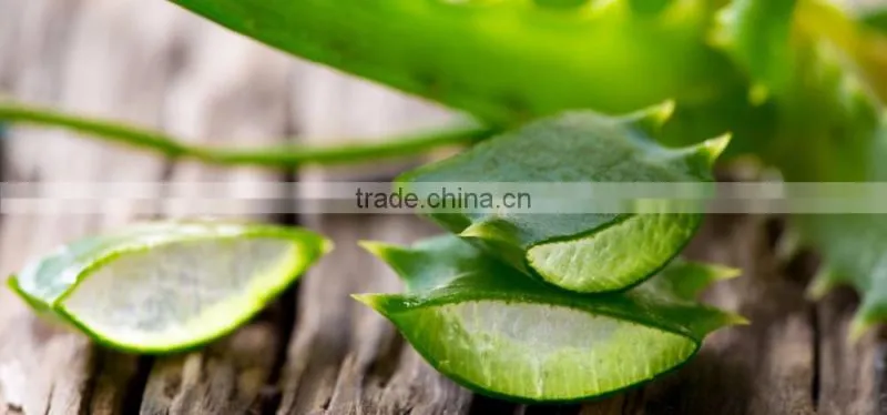 Natural Plant Extract Aloe Vera