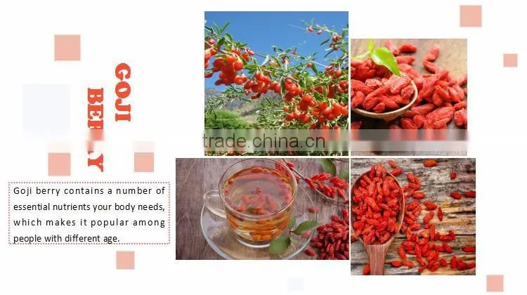Organic Goji Berry