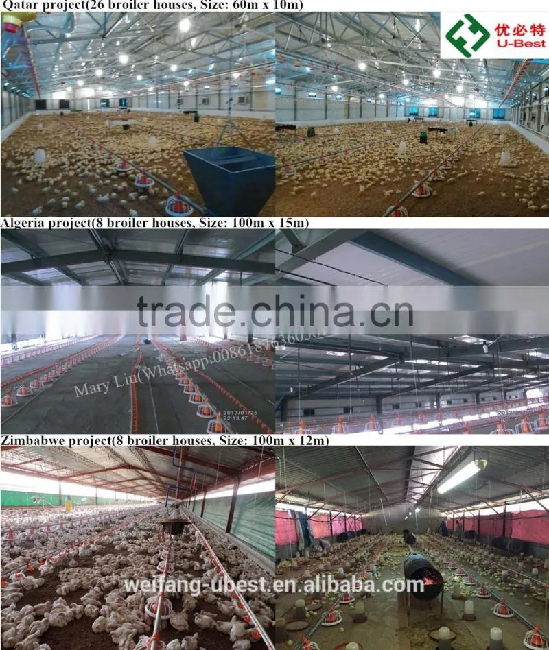 commercial steel structure poultry house/chicken farm/broiler shed