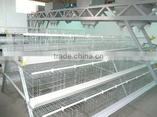 Automatic Poultry Equipment for 20000 birds farm sale