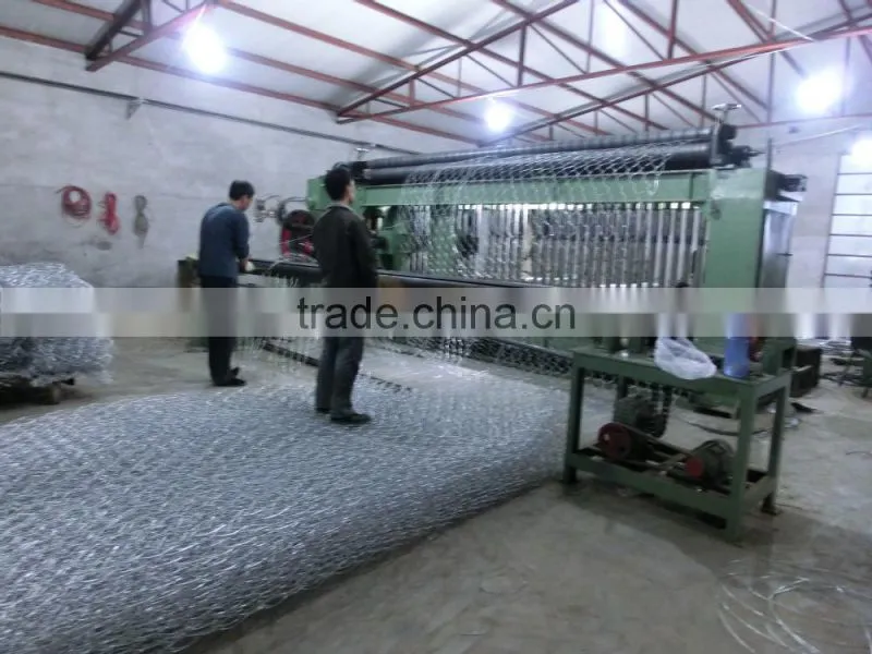 Gabion hexagonal wire mesh box