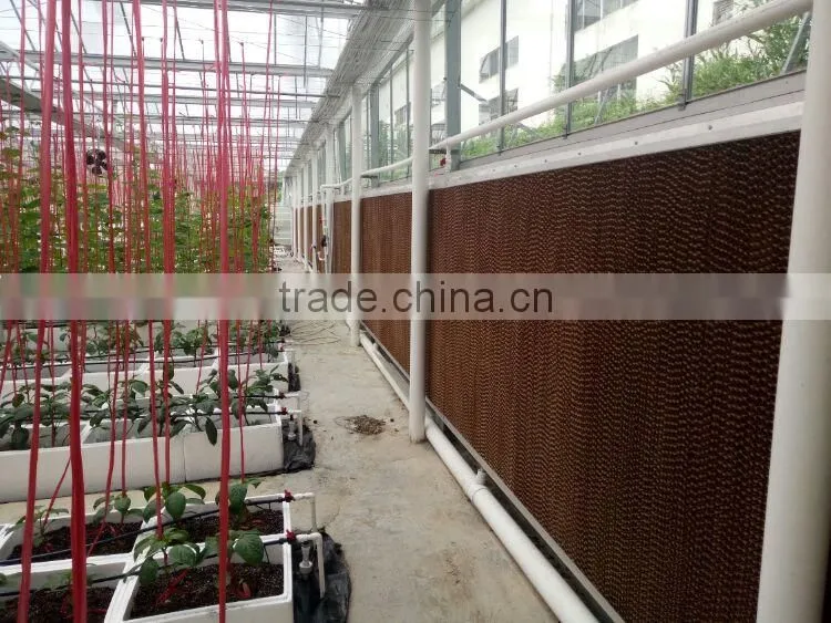 Greenhouse farm for sale 7090 evaporative cooler pad Malaysia