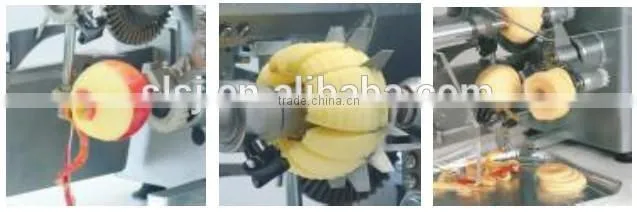 Bidragon Apple Peeling Coring Slicing Machine