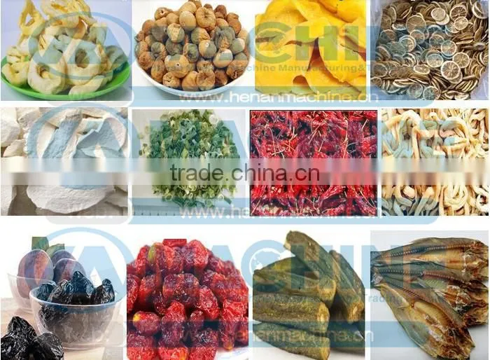 Hot Selling New Functional Banana Chips Dryer Machine| Kiwi Fruit Slices Dryer Machine|Raisin Drying Machine