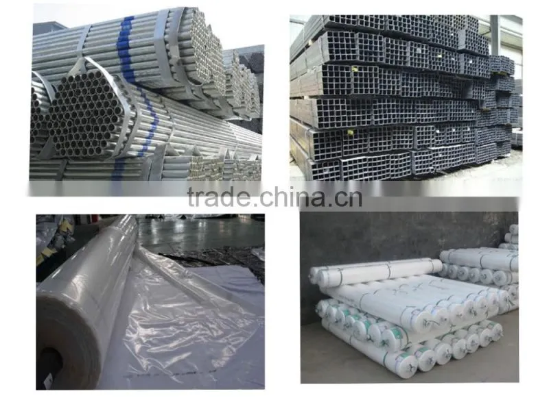 Factory price Polycarbonate cover steel pipe franmework fruit greenhouse