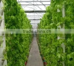 Convenience high quality hydroponic system
