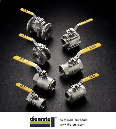 Die Erste Industry Co., Ltd company overview - view 2