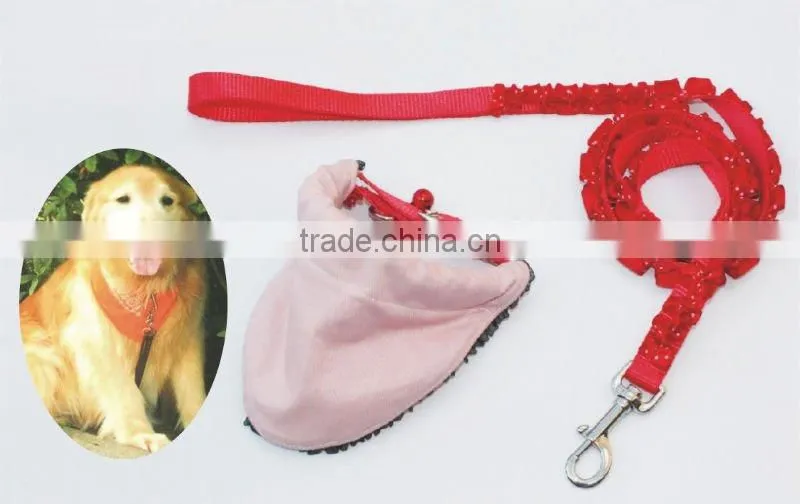 dog collar pet products