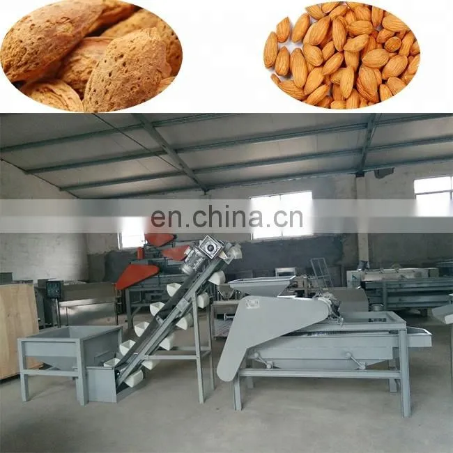 Taizy Nuts cracker processing line