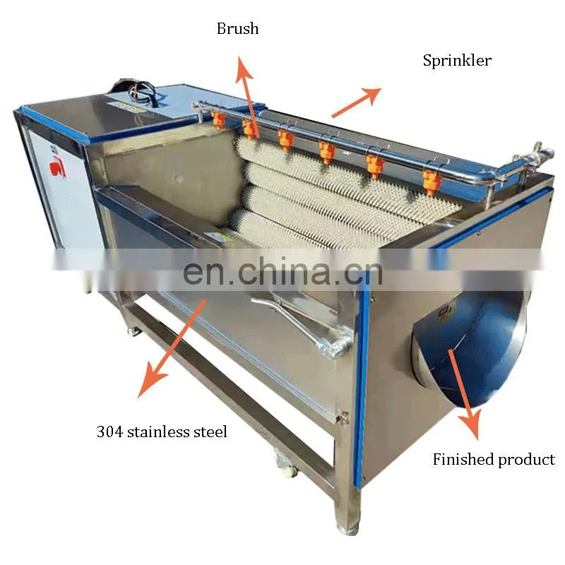 Fruit and Vegetable Washing Waxing and Grading Machine Fruit Sorting Machine