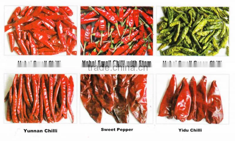 New Crop of Tianying Red Chilli
