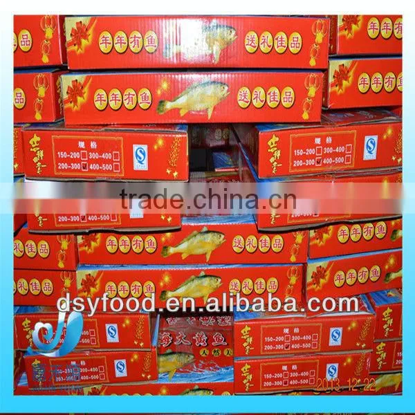 Frozen yellow croaker fish