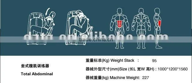 CE commercial gym machine/ TZ-6015 total abdominal