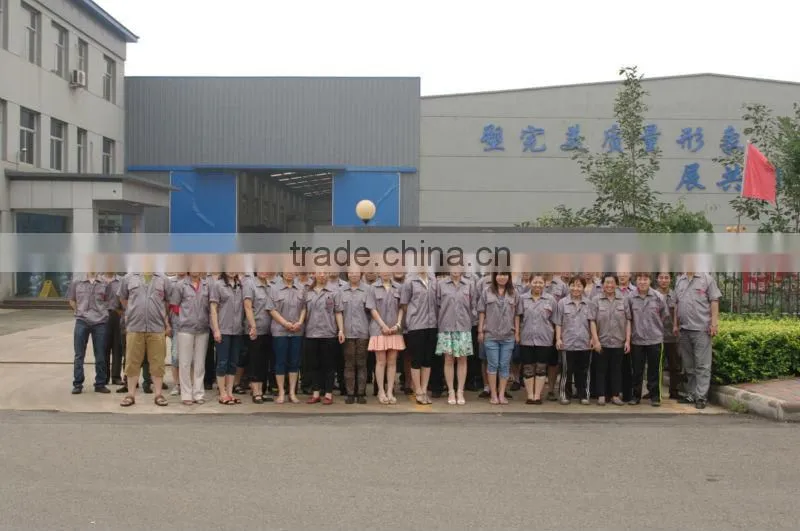Butterfly Wafer Double/Dual Disc/Plate Check Valve