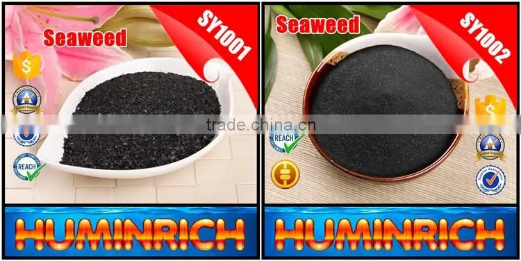 FAQ 19--Application Of Seaweed Extract Fertilizer On Vegetable