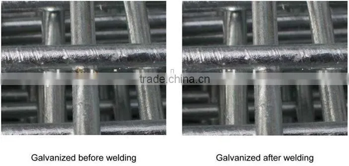 2015 hot sale PVC and galvanized welded wire mesh panels fence with Top quality