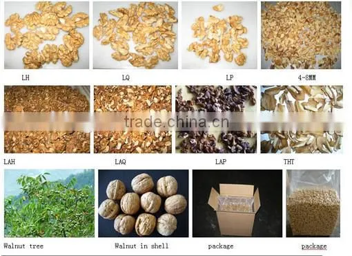 Supply Walnut- Natural walnut kernels Light halves