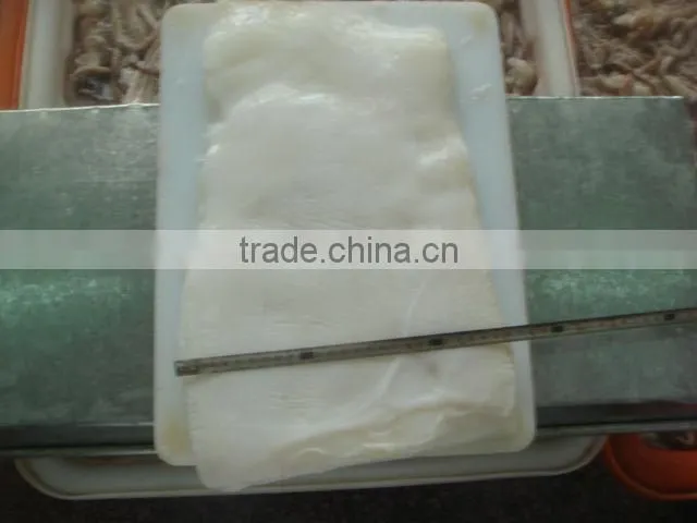 squid fillet
