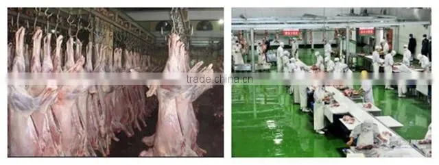goat slaughter processing line equipment