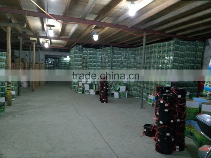 PE flexible transparent layflat Water Irrigation hose