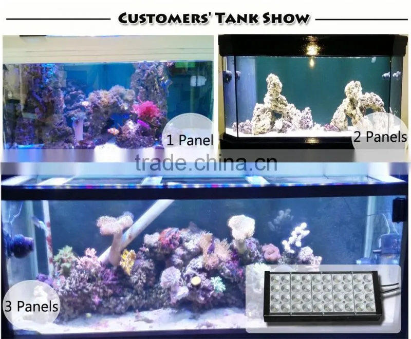 DSunY new programmable light auto dimmable marine led aquarium light with quiet fan