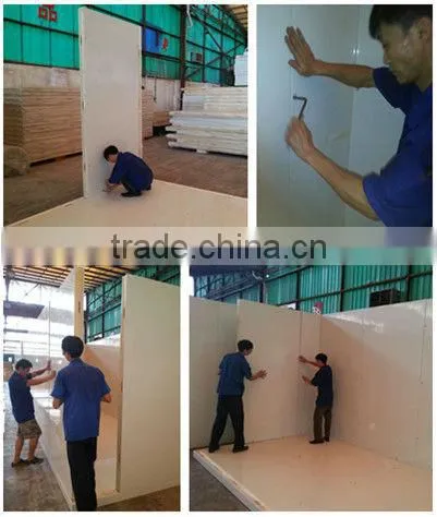 modular cold room and freezer room(fruit&meat)with cam lock polyurethane panels