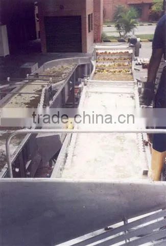 complete set of mango juice production plant