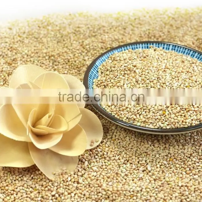 White Broomcore Millet with reasonable price 2016 crop