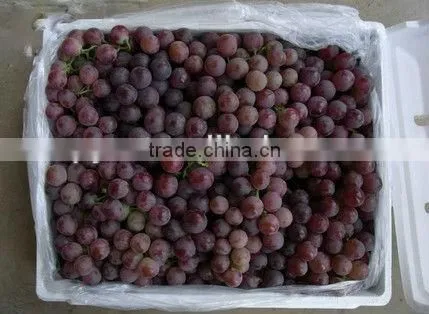 Fresh Red Grapes From Yunnan