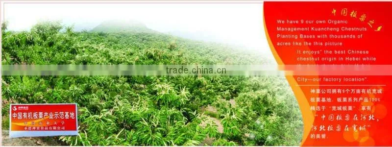 ROASTED RINGENT CHESTNUTS SNACKS Healthy Nuts Snacks For Sale