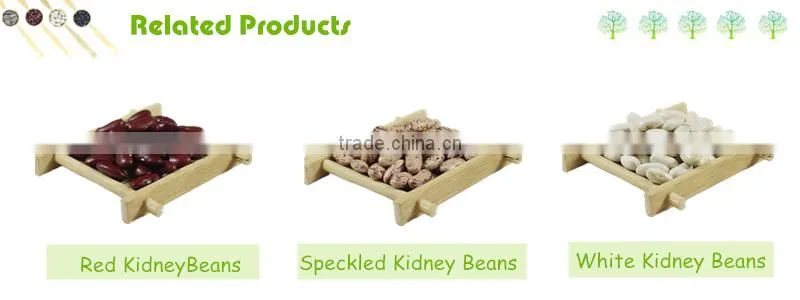 Dry Red Speckled Kidney Beans, Red Sparkled Kidney Beans 2015