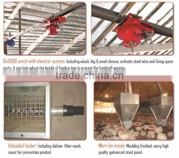 Goldenest manufacturer poultry feeding line automatic equipment poultry for sale JCZY-OP01