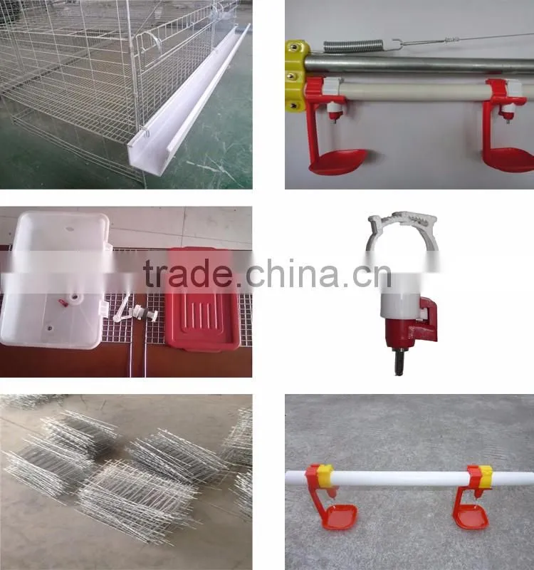 4 tiers high quality chicken cage for sale