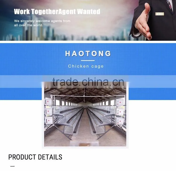 30 Years' factory supply automatic chicken nest