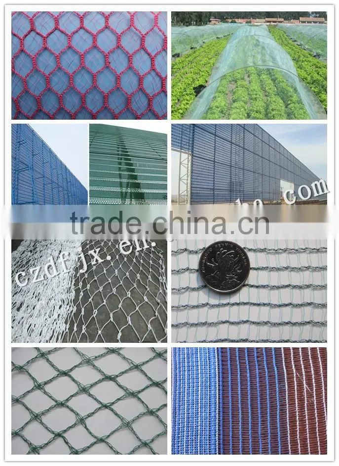 supply agriculture used plastic plant support net with crop growth
