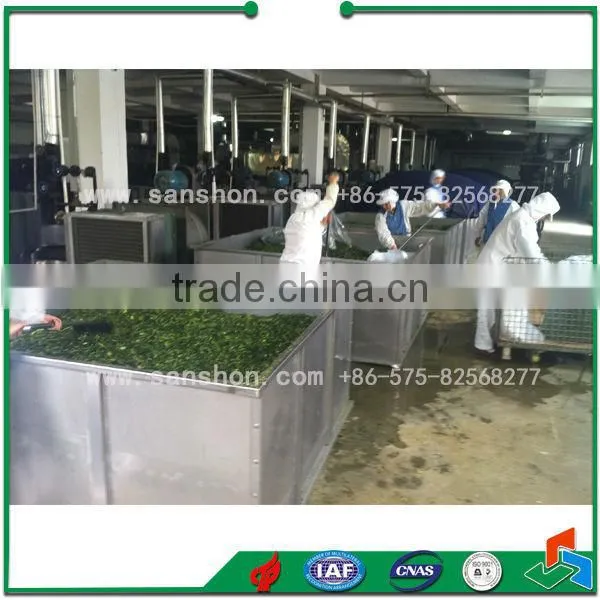 Advanced STJ-A Box Type Vegetable Fruit Drying Machine
