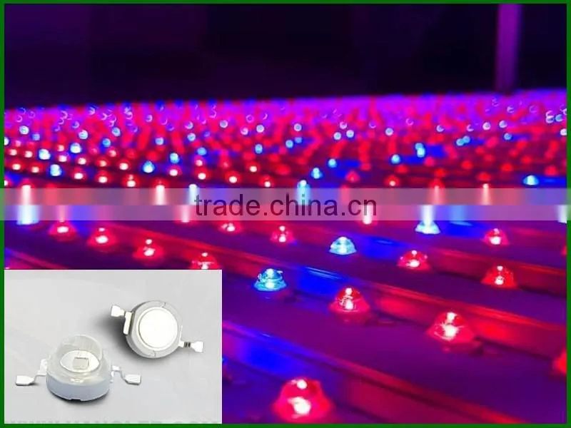 Modern agricultural equipments interlight grow light bar for cucumber greenhouse grow waterproof