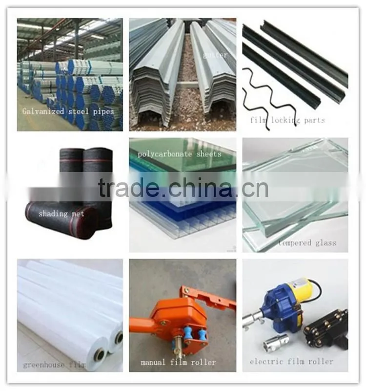 Multi-span tunnelgreenhouse for vagetable and fruits